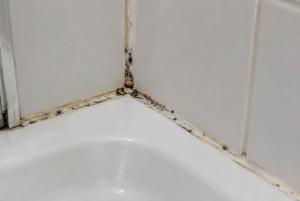 Kitbedrijf Weesp – beschimmelde kitranden
